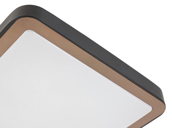 STROPNÉ LED SVIETIDLO, 37/37/8 cm Novel - Interiérové svietidlá