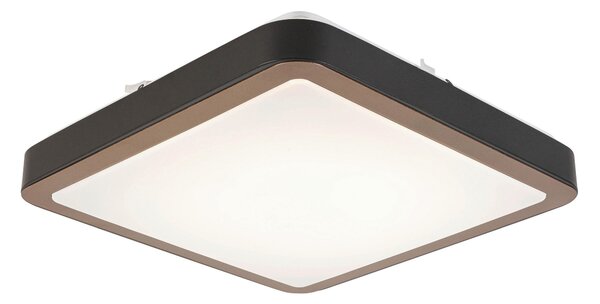 STROPNÉ LED SVIETIDLO, 37/37/8 cm Novel - Interiérové svietidlá