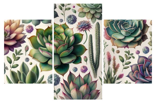 Obraz - Sukulenty (90x60 cm)