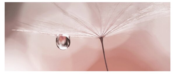 Obraz - Kvapka rosy (120x50 cm)