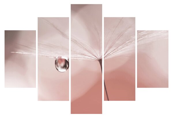 Obraz - Kvapka rosy (150x105 cm)