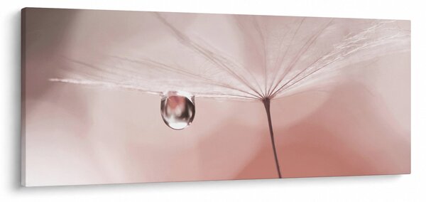 Obraz - Kvapka rosy (120x50 cm)