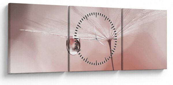 Obraz - Kvapka rosy (s hodinami) (90x30 cm)