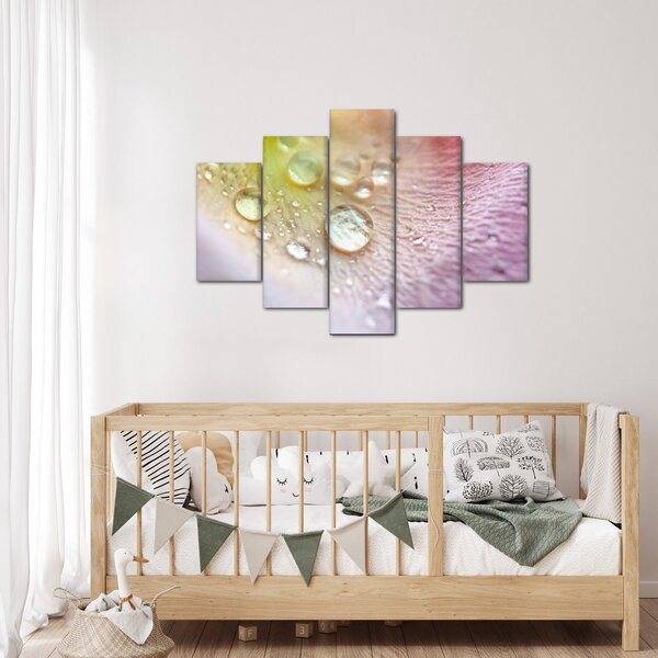 Obraz - Kvapky rosy (150x105 cm)