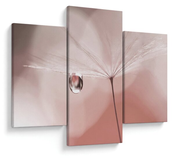 Obraz - Kvapka rosy (90x60 cm)