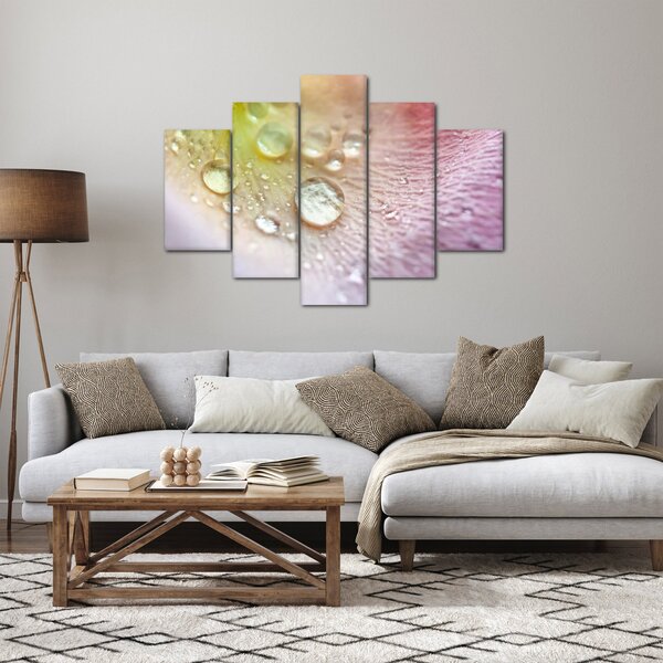 Obraz - Kvapky rosy (150x105 cm)