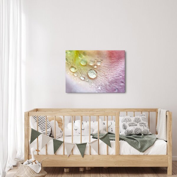 Obraz - Kvapky rosy (70x50 cm)