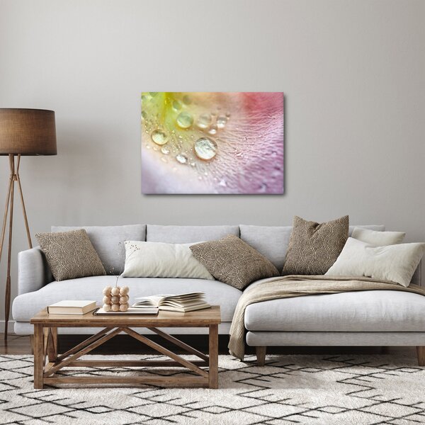 Obraz - Kvapky rosy (70x50 cm)