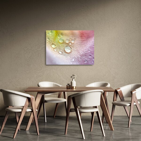 Sklenený obraz - Kvapky rosy (70x50 cm)