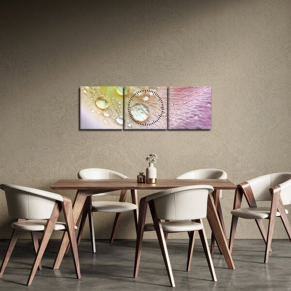 Obraz - Kvapky rosy (s hodinami) (90x30 cm)