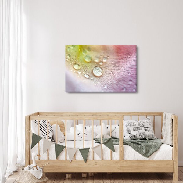 Obraz - Kvapky rosy (90x60 cm)