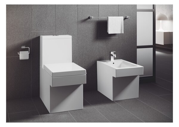 GROHE Cube Ceramic - WC sedátko s poklopom, SoftClose, alpská biela 39488000