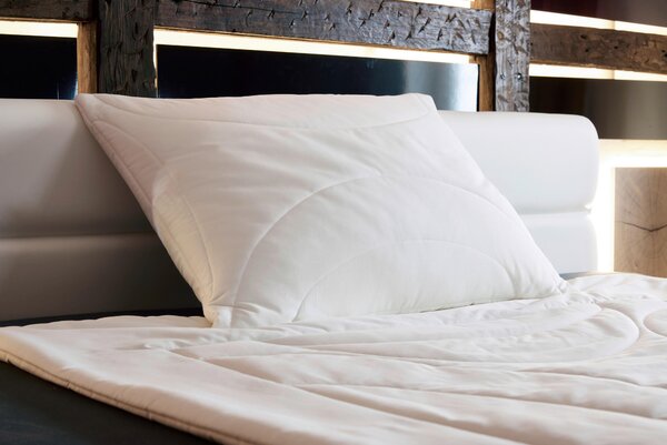 VANKÚŠ POD HLAVU, 70/90 cm Sleeptex - Prikrývky & vankúše