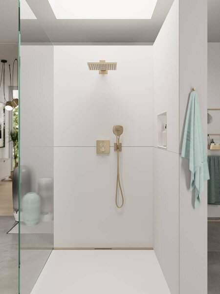 Hansgrohe Raindance Select E - Ručná sprcha 120 3jet, kartáčovaný bronz 26520140