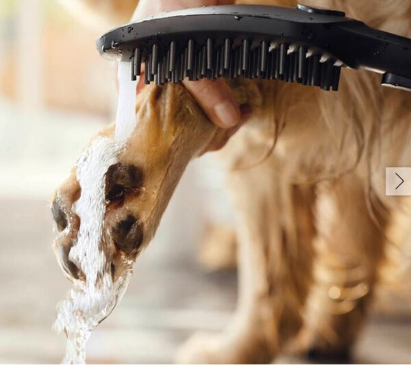 Hansgrohe DogShower - Ručná sprcha pre psa, biela matná 26640700