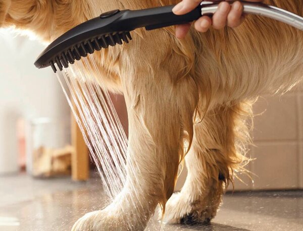Hansgrohe DogShower - Ručná sprcha pre psa, biela matná 26640700