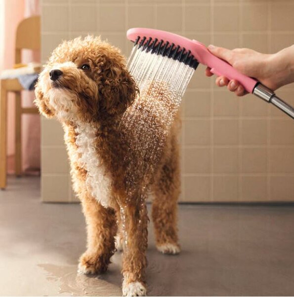 Hansgrohe DogShower - Ručná sprcha pre psa, ružová 26640560