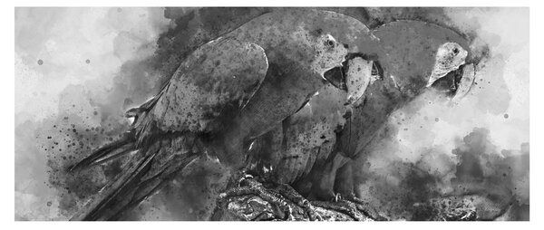 Obraz - Akvareloví papagáje (120x50 cm)