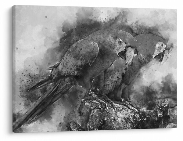 Obraz - Akvareloví papagáje (70x50 cm)
