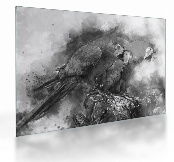 Sklenený obraz - Akvareloví papagáje (70x50 cm)