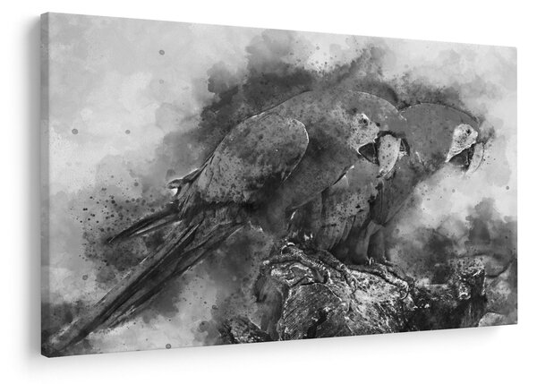 Obraz - Akvareloví papagáje (90x60 cm)