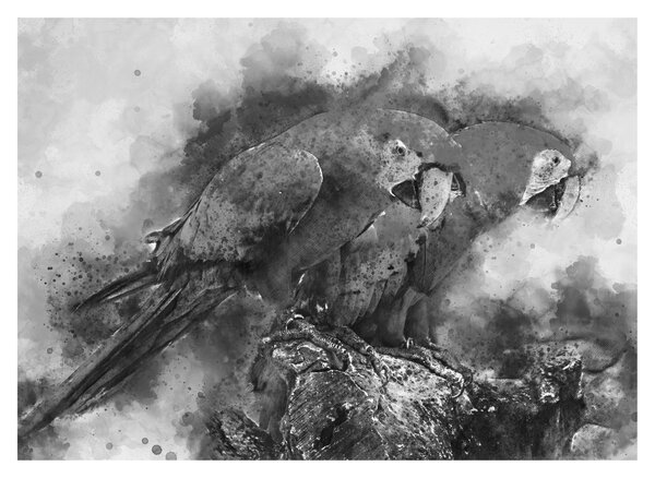 Sklenený obraz - Akvareloví papagáje (70x50 cm)