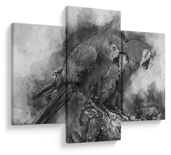 Obraz - Akvareloví papagáje (90x60 cm)