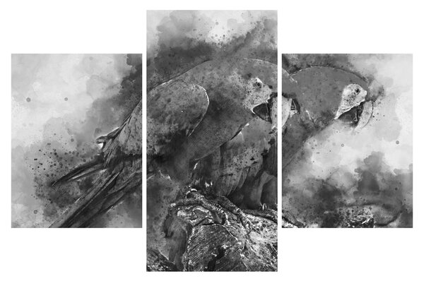 Obraz - Akvareloví papagáje (90x60 cm)