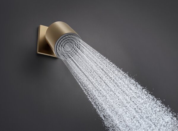Hansgrohe Pulsify S - Hlavová sprcha 105 1jet, kartáčovaný bronz 24130140