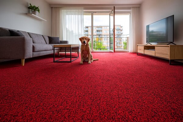 Ideal , Koberec metráž Efekt 5180, na mieru, šíře 5m, červená, filc, chodba / predsieň