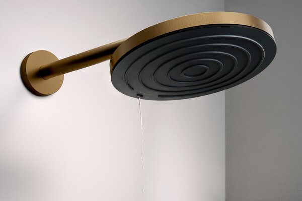 Hansgrohe Pulsify S - Hlavová sprcha 260 1jet, kartáčovaný bronz 24140140