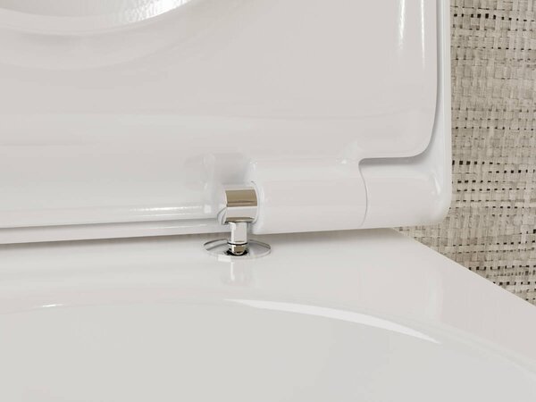 Hansgrohe EluPura S - Závesné WC 540, AquaFall splachovanie, HygieneEffect + sedátko so SoftClose a QuickRelease, biela 62021450