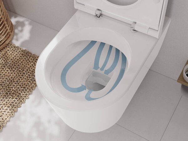 Hansgrohe EluPura S - Závesné WC 540, AquaFall splachovanie, HygieneEffect + sedátko so SoftClose a QuickRelease, biela 62021450