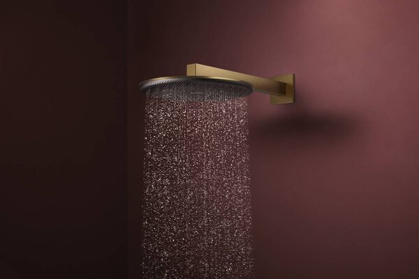 Hansgrohe Raindance Alive S - Hlavová sprcha 300 1jet, EcoSmart, kartáčovaný bronz 24521140