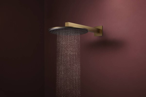 Hansgrohe Raindance Alive S - Hlavová sprcha 300 1jet, EcoSmart, kartáčovaný bronz 24521140