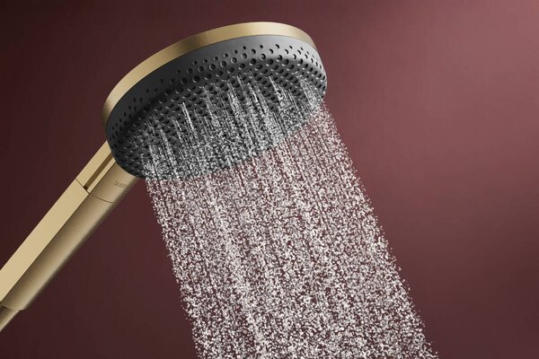 Hansgrohe Raindance Alive Select S - Ručná sprcha 125, 3jet, EcoSmart, kartáčovaný bronz 24511140