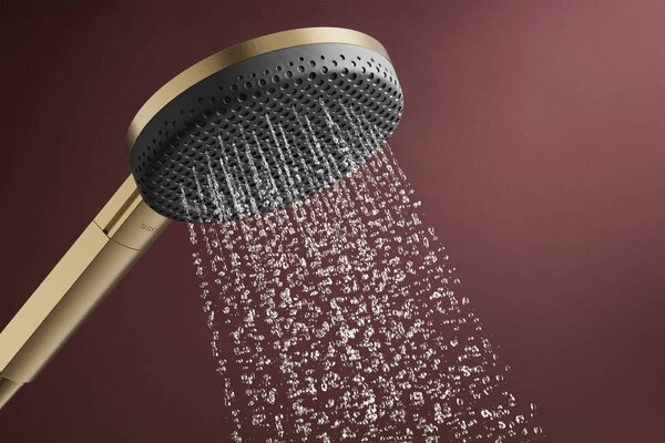 Hansgrohe Raindance Alive Select S - Ručná sprcha 125, 3jet, EcoSmart, kartáčovaný bronz 24511140