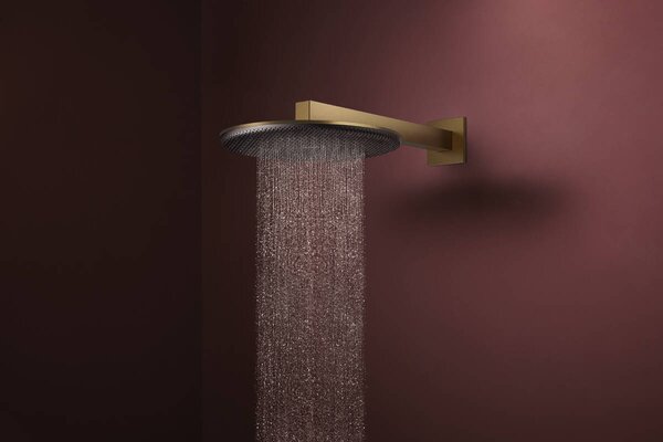 Hansgrohe Raindance Alive S - Hlavová sprcha 300 2jet, so sprchovým ramenom, kartáčovaný bronz 24540140