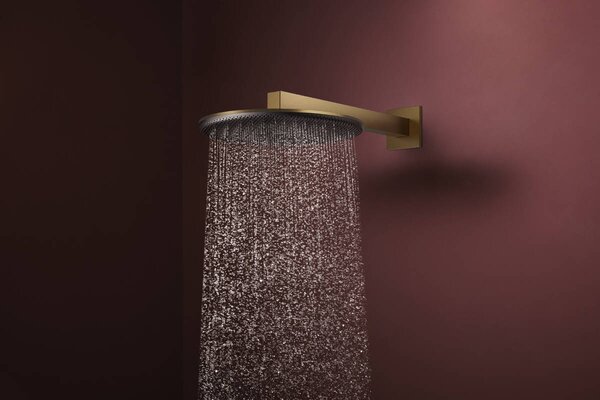 Hansgrohe Raindance Alive S - Hlavová sprcha 300 2jet, so sprchovým ramenom, kartáčovaný bronz 24540140