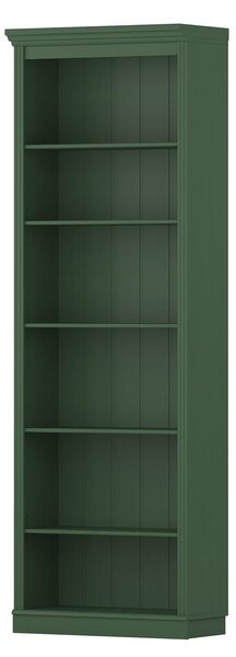 NÁSTENNÁ KNIŽNICA, zelená, borovica, 222/223/37 cm Livetastic - Regály, Online Only