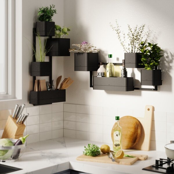 Závesné plastové kvetináče na bylinky v súprave 4 ks Cubiko – Umbra