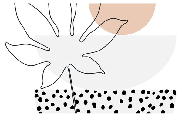 Obraz - Line art kvety N⁰3 (120x50 cm)