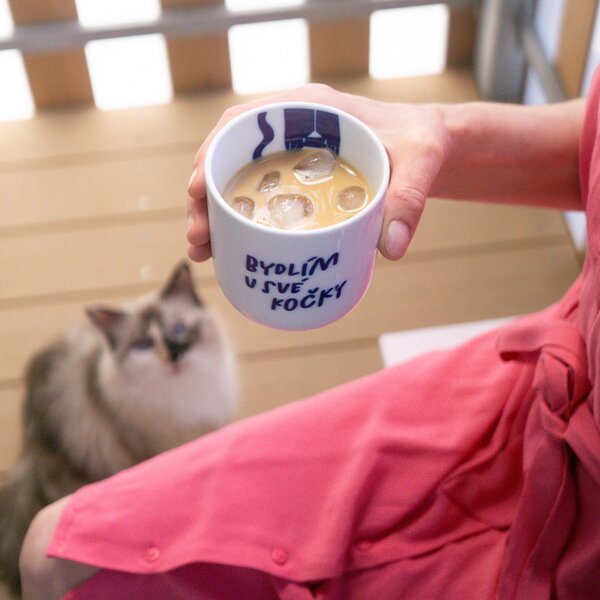 Porcelánový hrnček Bydlím u své kočky 270 ml