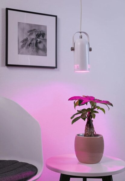 Paulmann 79767 - LED RGBW 1xE27/9W Závesný luster na lanku LAVEA 230V biela