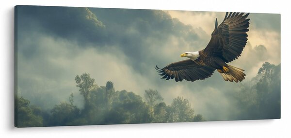 Obraz - Letiaci orol (120x50 cm)
