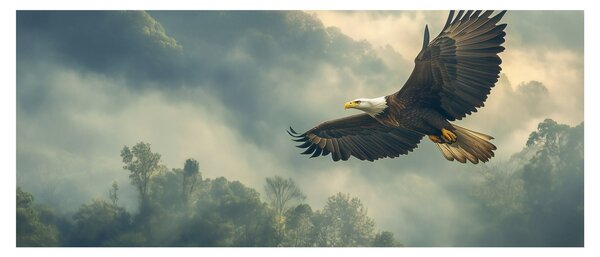 Obraz - Letiaci orol (120x50 cm)