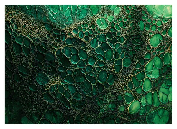 Obraz - Zelený mikroskopický záber (70x50 cm)