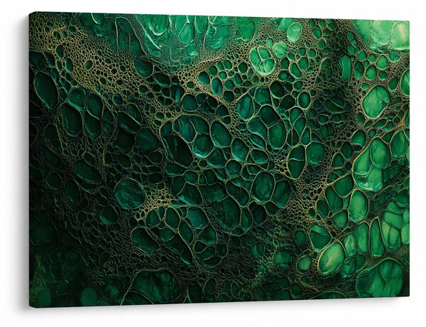 Obraz - Zelený mikroskopický záber (70x50 cm)