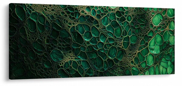 Obraz - Zelený mikroskopický záber (120x50 cm)
