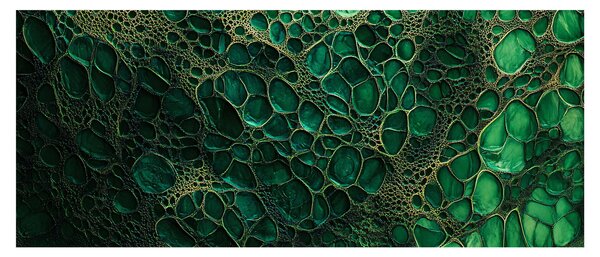Obraz - Zelený mikroskopický záber (120x50 cm)